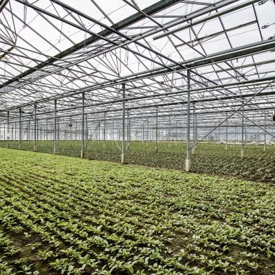 Vacature Siteverantwoordelijke Landbouw (Roeselare)